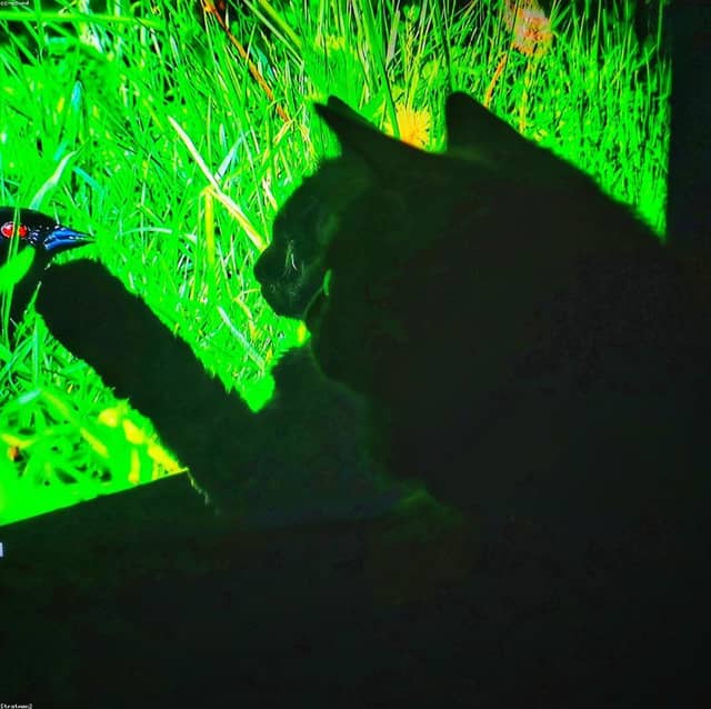 QRg0n3w