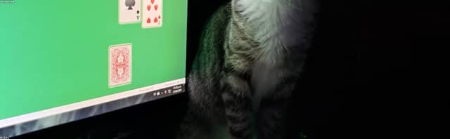 VGVNBfAg